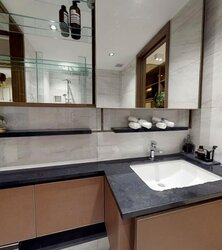 Normanton Park (D5), Apartment #456237821